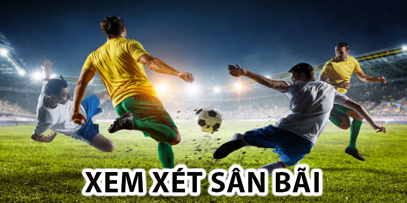Xem xét sân bãi